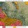 Wyoming's hardest hit winter ranges from the winter of 2010-2011.