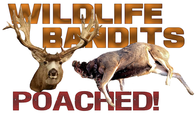 wildlife-bandits-poached2-630-copy