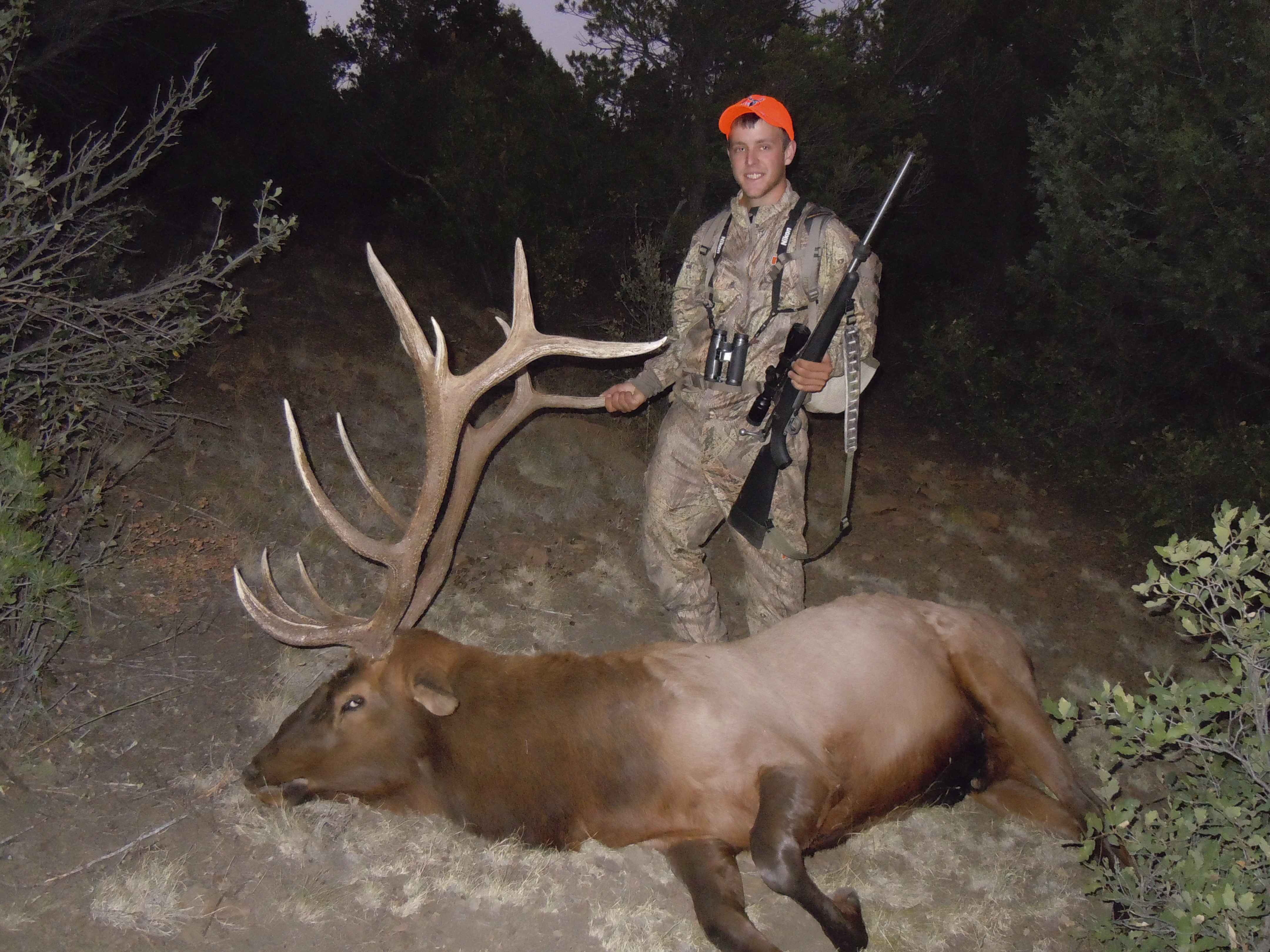 B. Trophy Bull - Eastmans' Official Blog | Mule Deer, Antelope, Elk ...