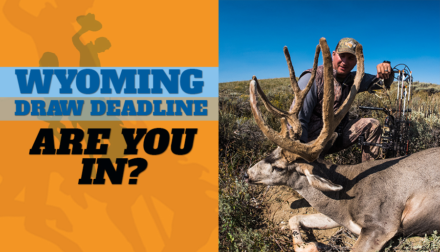 Wyoming Draw Deadline Looms...Are You In? Eastmans' Official Blog