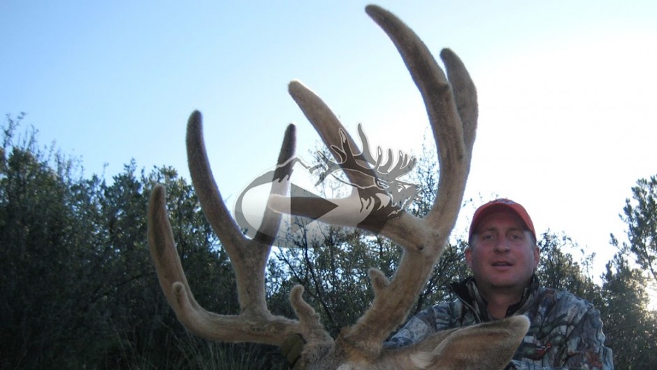 Mule Deer Scoring Eastmans' Official Blog Mule Deer, Antelope, Elk Hunting and Bowhunting