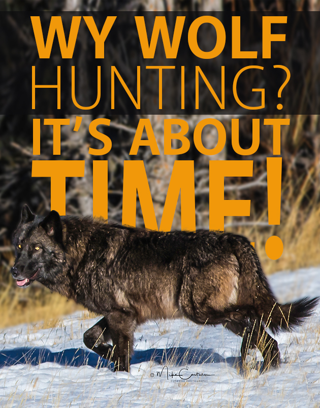 2017 Wy Wolf Hunting 3 17