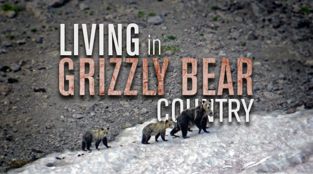 Living in Bear Country