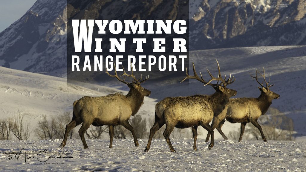 2018 Wyoming Winter Range Report Eastmans Official Blog Mule Deer Antelope Elk Hunting 6997