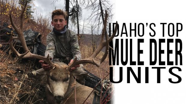 Best Idaho Deer Units: A Guide to Hunting Success - AdamsReport.Com