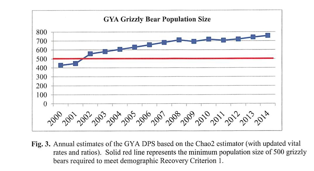Grizzly Size Chart