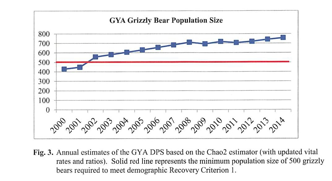 Grizzly Bear Size Chart