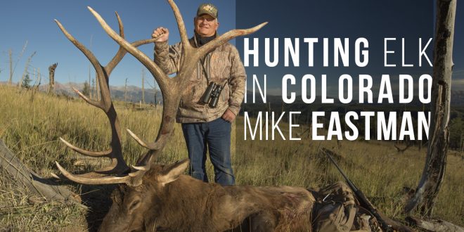 Hunting Elk In Colorado With Mike Eastman - Eastmans' Official Blog ...