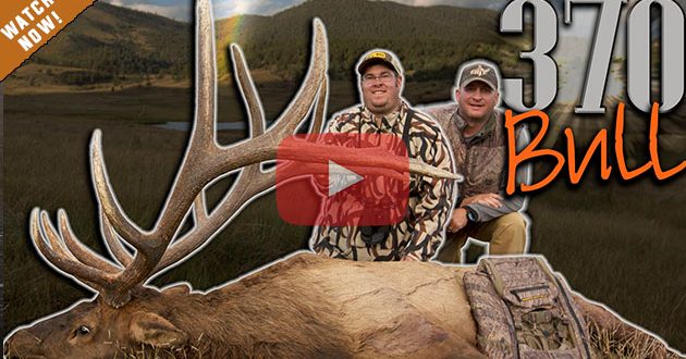 A monster’s last bugle! Elk Hunting with Guy Eastman - Eastmans ...