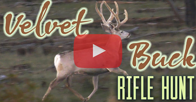 Hunting Velvet Bucks With A Rifle Eastmans Official Blog Mule Deer Antelope Elk Hunting 6848