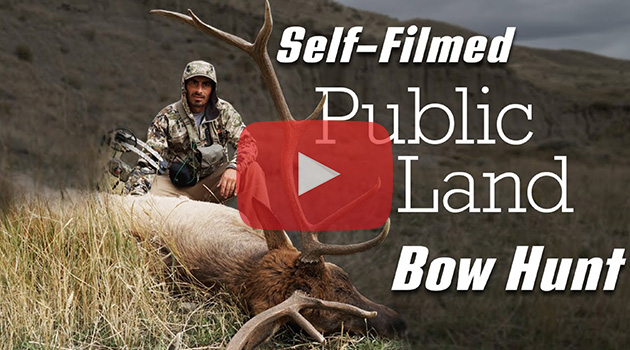 Bow Hunting Public Land OTC Elk In Montana - Eastmans' Official Blog ...