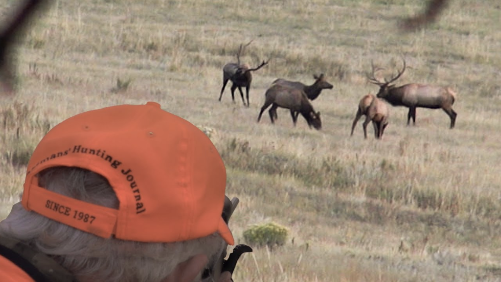 Hunting the Elk Rut BIG Colorado Bulls Eastmans' Official Blog