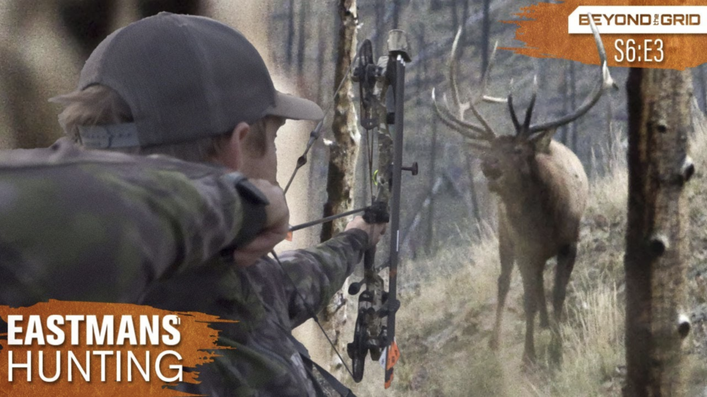 Facing Off With A Giant! Bow Hunting Backcountry Bulls In Grizzly ...