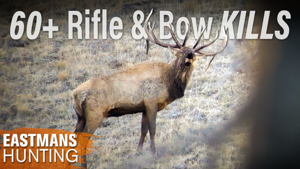 Top Idaho Elk Units 2020! - Eastmans' Official Blog | Mule Deer ...