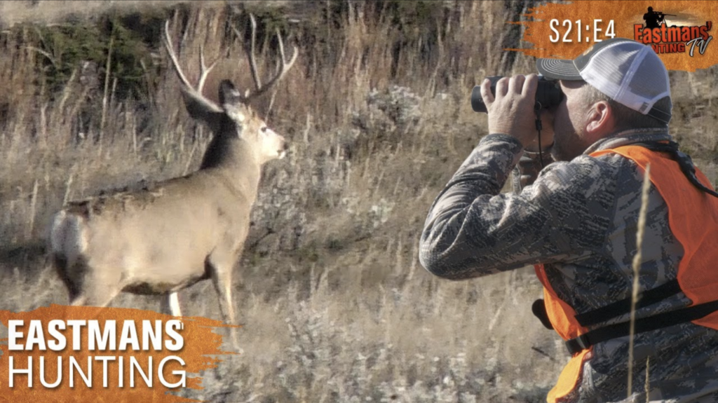 Mule Deer Hunting In Montana - Eastmans' Official Blog | Mule Deer ...