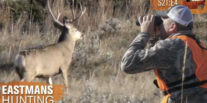 Mule Deer Hunting In Montana - Eastmans' Official Blog | Mule Deer ...