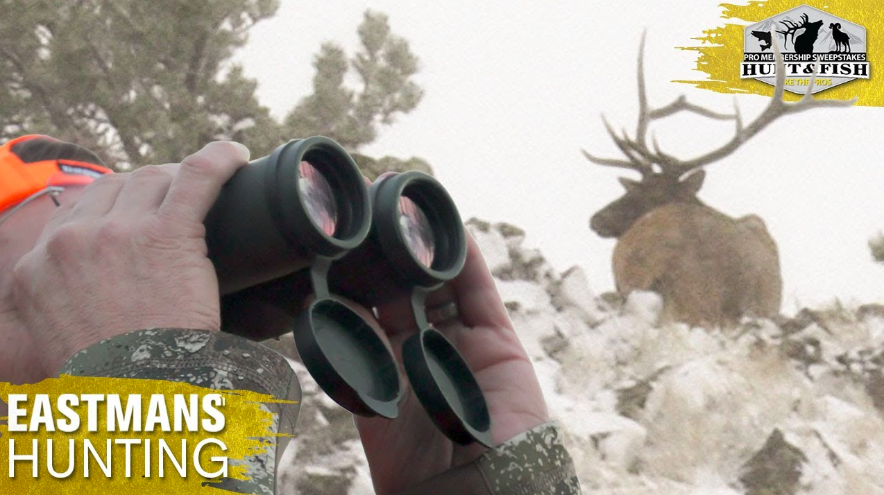 Big Bulls In The Late Season Elk Hunting Eastmans Official Blog Mule Deer Antelope Elk 5266