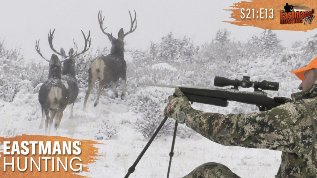 Hunting Big Bucks - Deer Hunt With Ike And Guy Eastman - Eastmans ...