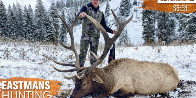 Giant Bulls On Public Land! Backcountry Elk Hunt With Guy Eastman ...