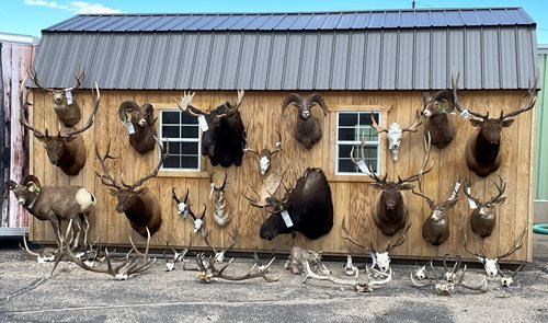 Deer & Deer Hunting Magazine Files For Bankruptcy - Big Deer